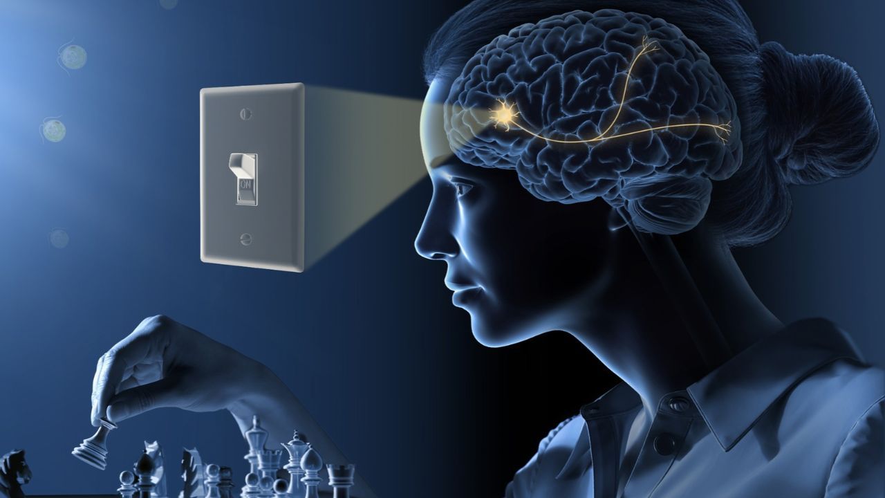 Laureados lançaram as bases de uma nova era na neurociência | Divulgação