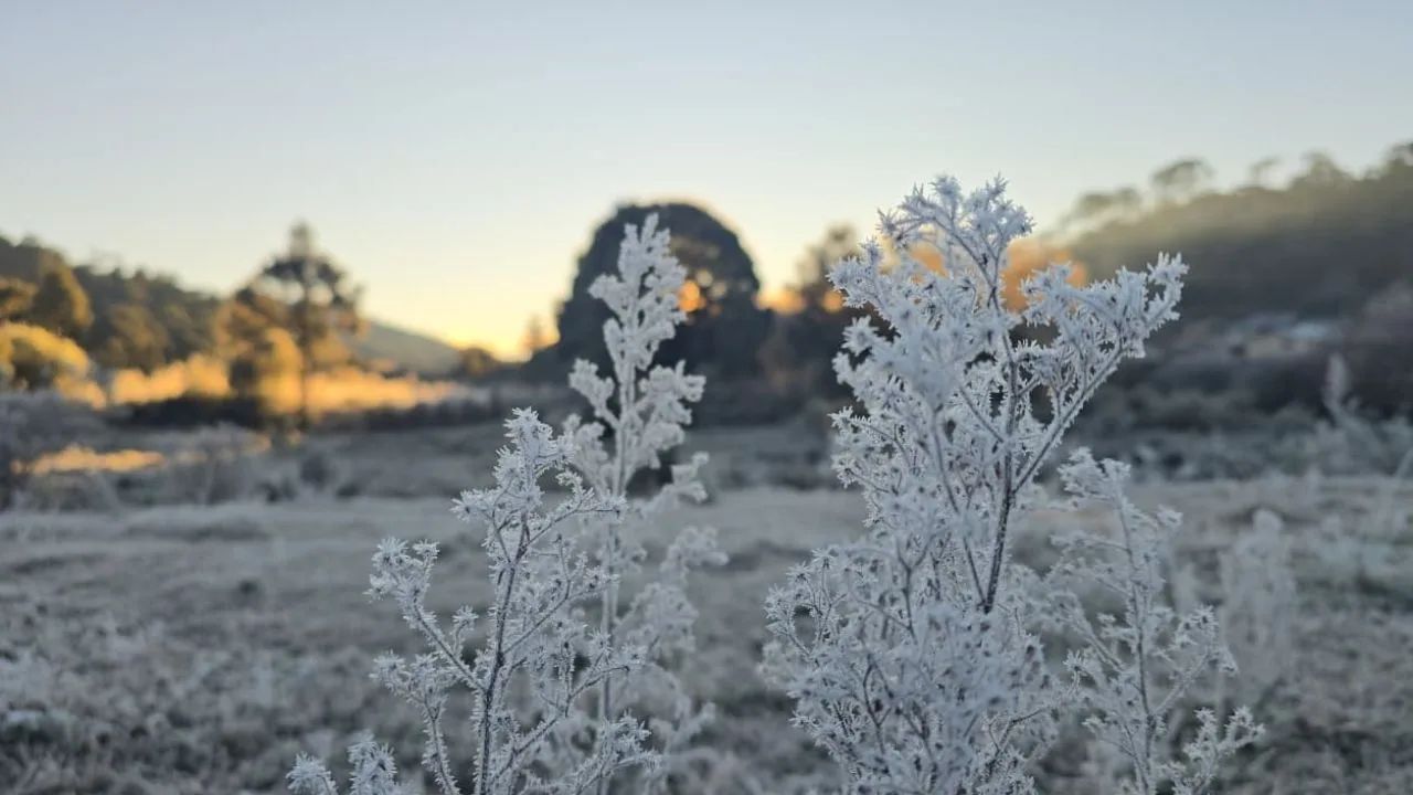 Imagem da notícia: Bom Jardim da Serra (SC) chega a -9,1°C e bate recorde Imagem da notícia: Bom Jardim da Serra (SC) chega a -9,1°C e bate recorde