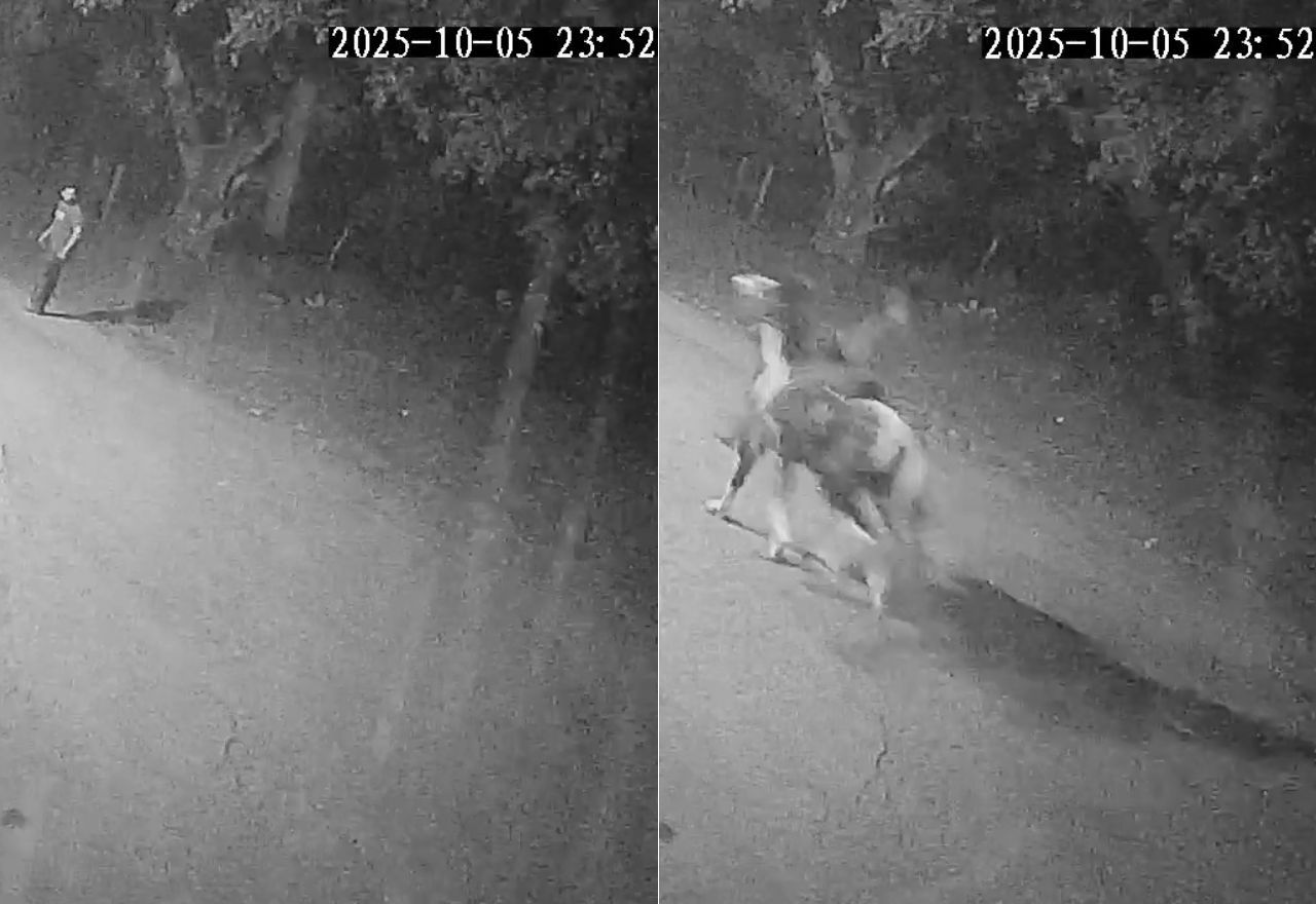 Câmera flagrou caminhoneiro sendo perseguido por homens a cavalo em Seropédica (RJ) | Reprodução