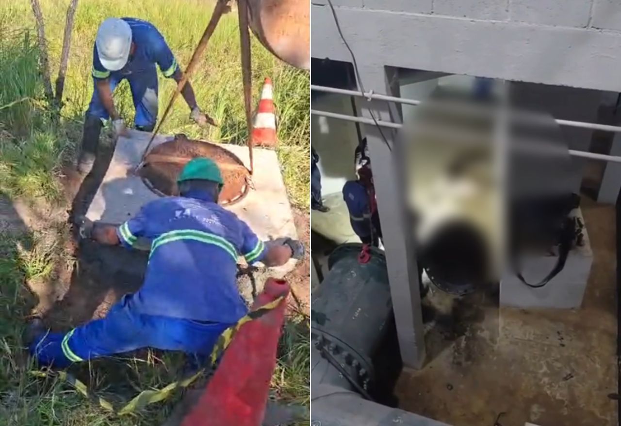 Corpo do animal foi retirado de adutora por equipes da Copasa | Reprodução