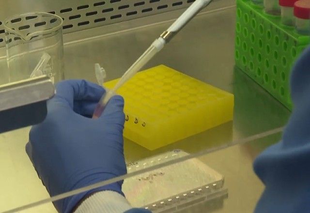 Cientistas anunciam primeira pessoa curada de diabetes tipo 1 com tratamento experimental