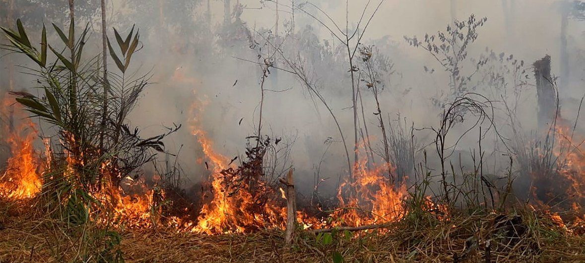 Incêndio queima Floresta Amazônica no Brasil | Divulgação/17ª Brigada de Infantaria de Selva