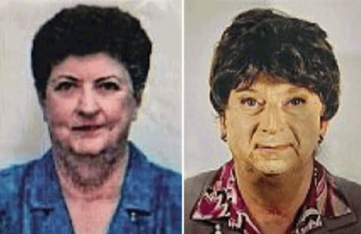 Montagem mostra aposentada Graziella dall'Oglio e seu filho fingindo ser a mãe | Divulgação