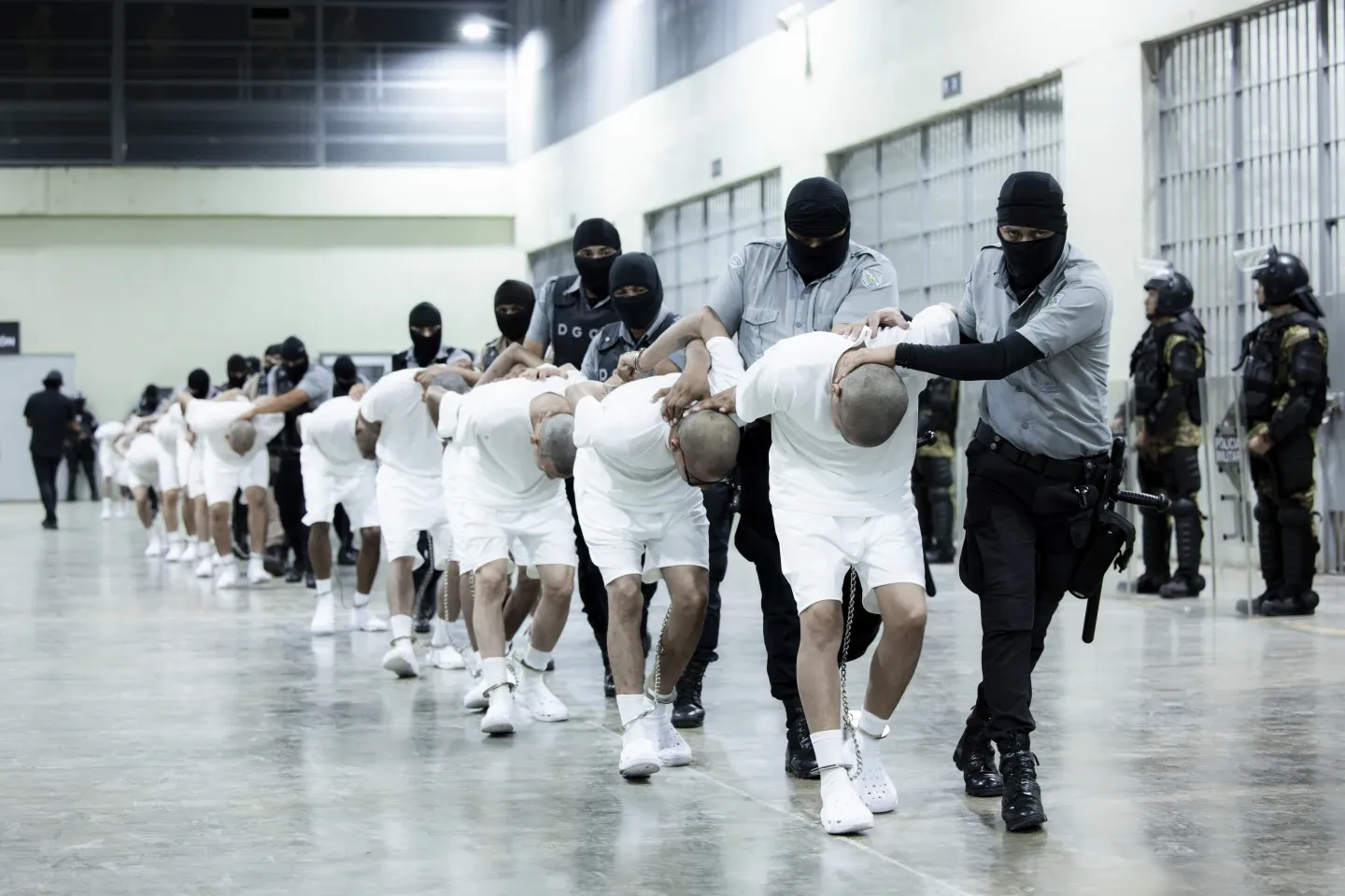 Venezuelanos deportados em El Salvador | Nayib Bukele/X 
