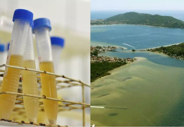 Água da Lagoa da Conceição, em Santa Catarina, tem um dos maiores níveis de cocaína já registrados no mundo | Foto 01: UFSC/Reprodução. Foto 02: PMF/Reprodução