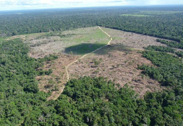 A quantia estipulada é a maior já cobrada pela AGU em uma ação de dano climático | Divulgação/AGU