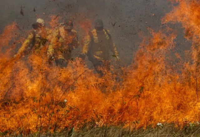 A seca prolongada e baixa umidade combinados aumentaram os incêndios pelo país | Agência Brasil