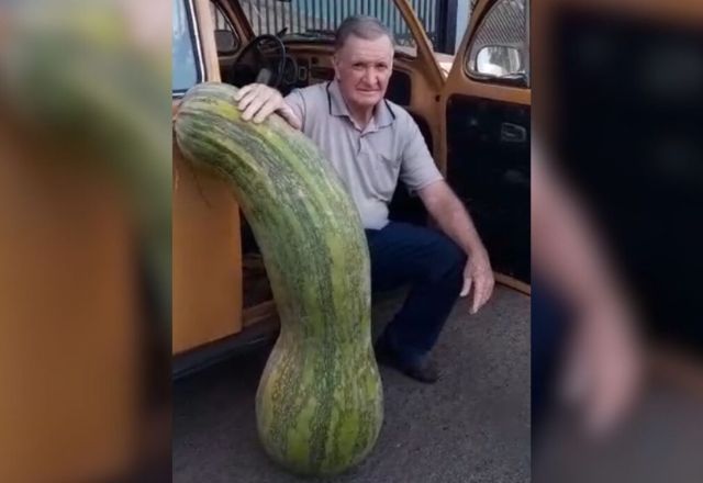 Agricultor Pedro Castilho com a abobrinha gigante | Foto: Reprodução