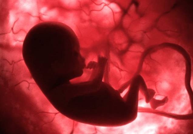 Aborto: Nova portaria mantém exigência de informar polícia sobre estupro Aborto: Nova portaria mantém exigência de informar polícia sobre estupro