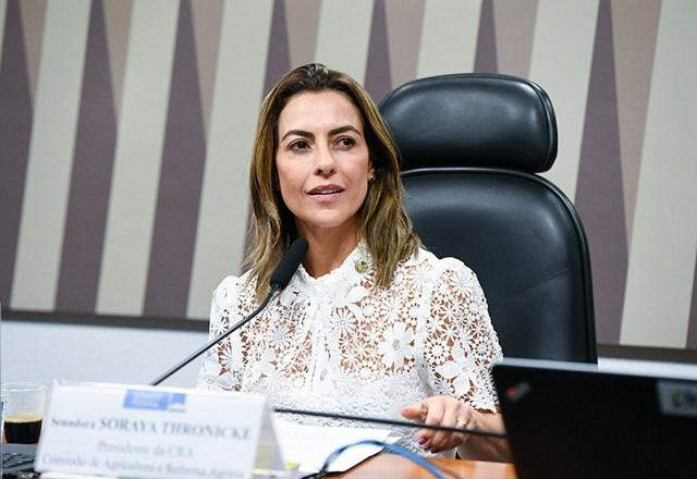Soraya Thronicke olha para o lado (Jefferson Rudy/Agência Senado)