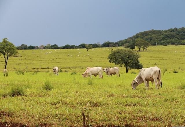Agro