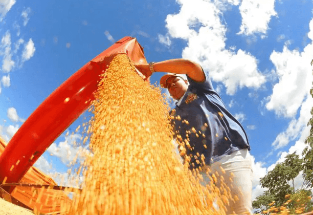 Agronegócio | Divulgação/Prefeitura de Campo Grande