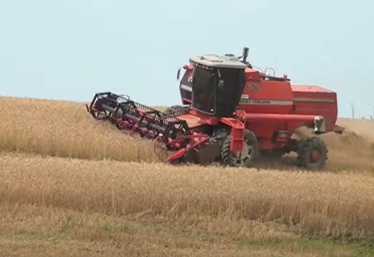 Produtores rurais recorrem à recuperação judicial diante de dívidas e crise no campo Produtores rurais recorrem à recuperação judicial diante de dívidas e crise no campo