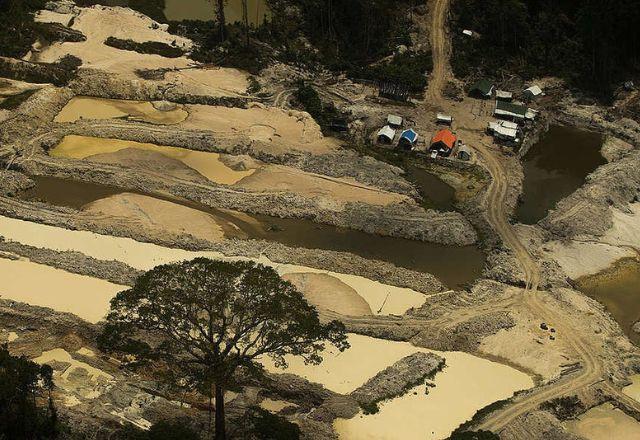Além do território Yanomami, a ação engloba as terras Karipuna, Uru-Eu-Wau-Wau, Kayapo?, Araribo?ia, Mundurucu e Trincheira Bacaja? | Greenpeace
