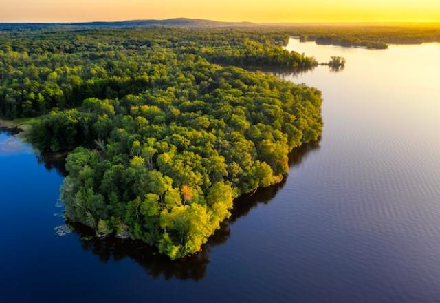 Amazônia
