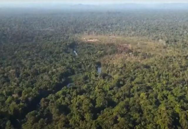 Amazonia