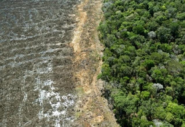 Amazônia