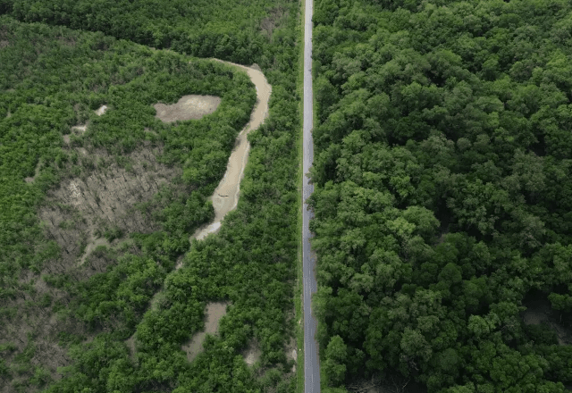Amazônia | Divulgação/Fernando Frazão/Agência Brasil