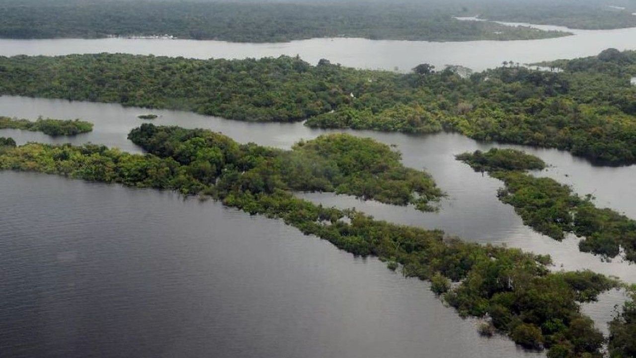 Amazônia | Divulgação/Valter Campanato/Agência Brasil