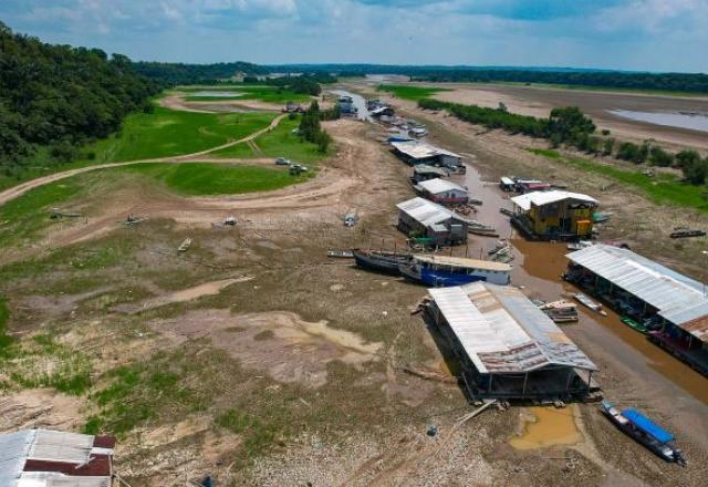 Foto: Alberto César Araújo/Amazônia Real