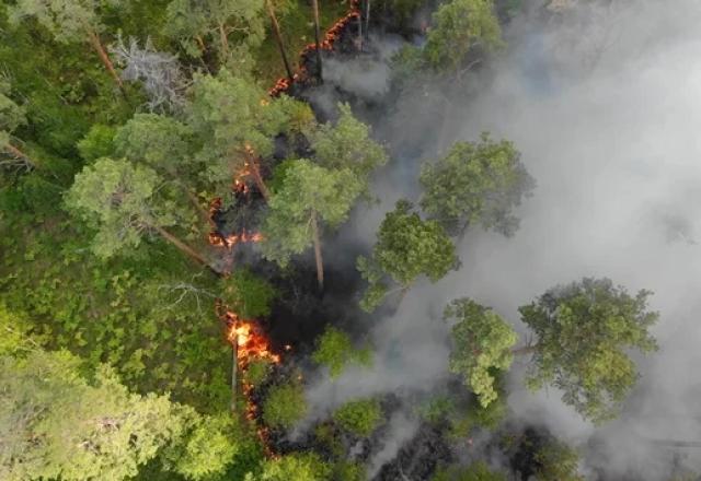Amazônia