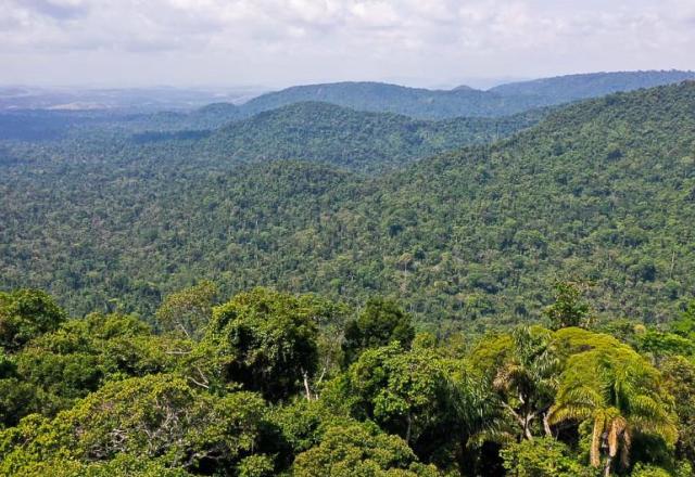 Amazônia