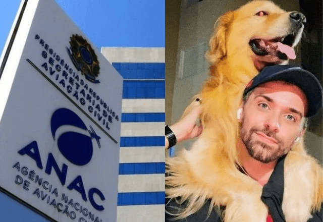 O grupo de trabalho surge após a morte do cachorro Joca, que ocorreu em abril, após um erro de logística da Gol | Reprodução