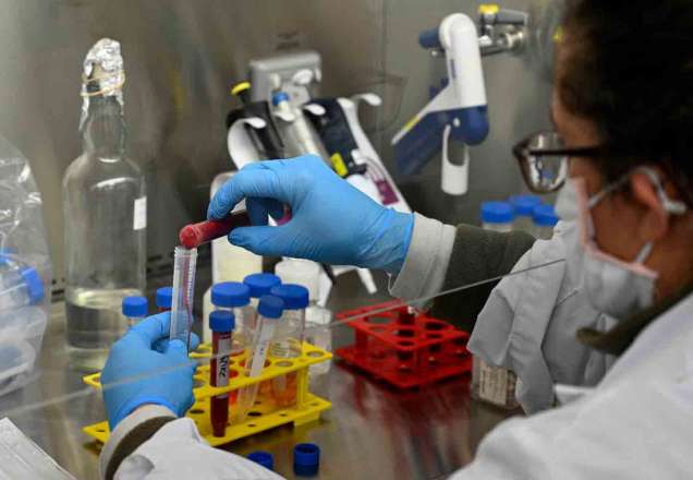 Anticorpos em pacientes recuperados de Covid-19 diminuem rapidamente, diz pesquisa