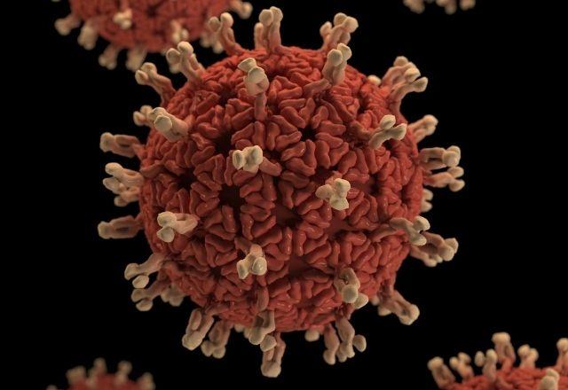 Subvariantes da ômicron correspondem a 99,8% das infecções mundiais Subvariantes da ômicron correspondem a 99,8% das infecções mundiais