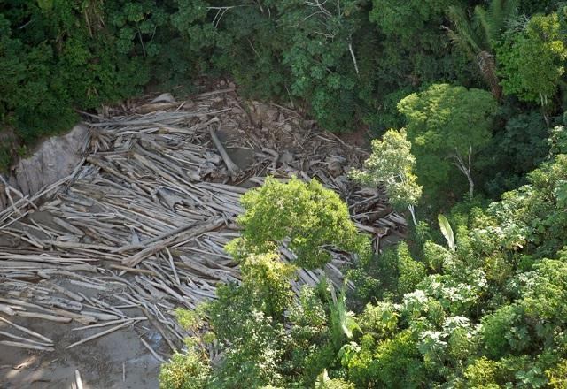 Área desmatada em floresta (Agência Brasil)