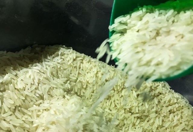Arroz: RS é responsável por 70% da produção no país | Marcello Casal Jr./Agência Brasil