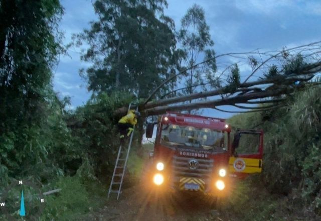 Tempestade causa estragos e deixa desalojados em SC