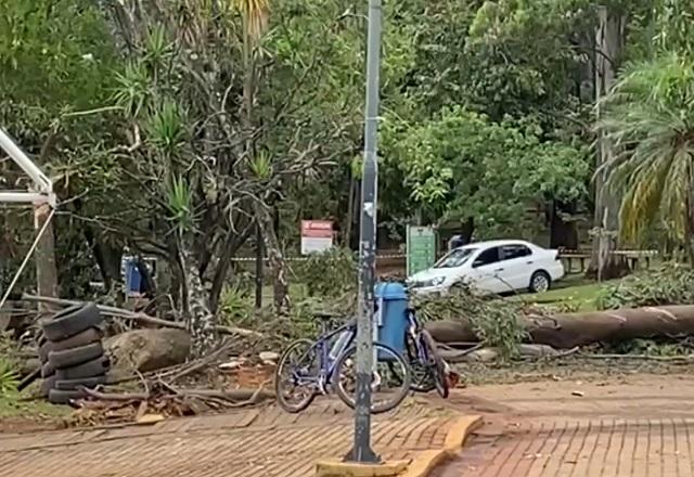 Árvore de grande porte caída e atravessada em área de parque, durante o dia, com carro branco ao fundo