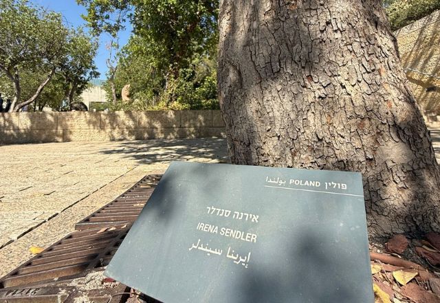 Árvore em homenagem à polonesa Irena Sendler em Jerusalém | Foto: Ivan Flávio