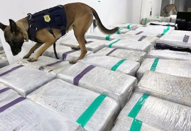 "As K9s May e Corona indicaram a presença de ilícitos no compartimento de carga do frigorífico", afirmou a PRF | Divulgação/Polícia Rodoviária Federal