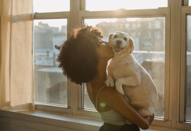 As lágrimas podem fazer parte da consolidação da relação entre cães e humanos | Pexels