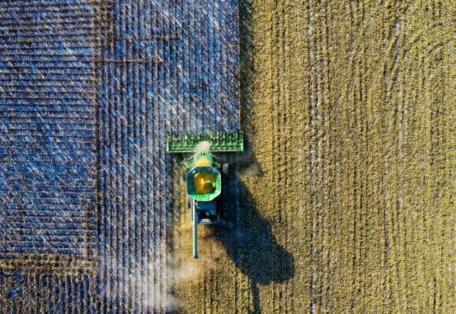 Conflito na Ucrânia pode limitar fornecimento de alimentos e aumentar fome Conflito na Ucrânia pode limitar fornecimento de alimentos e aumentar fome