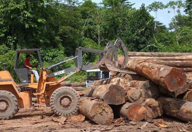 Autuações ambientais aumentaram 78% em todo o país | Agência Brasil