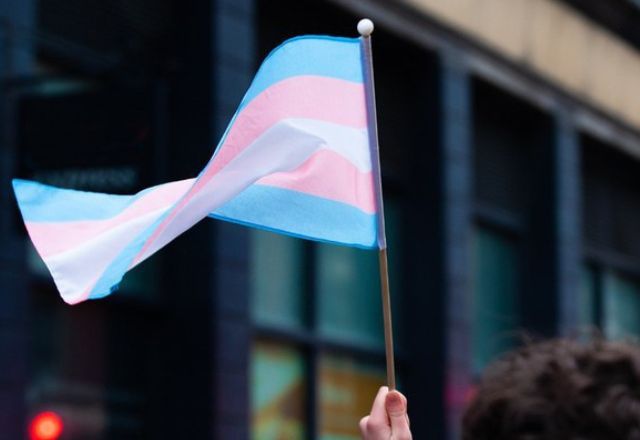 Bandeira da visibilidade trans, que representam homens e mulheres trans, além de pessoas com gênero neutro | Reprodução/Agência Brasil