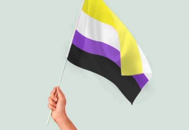 Bandeira não binária