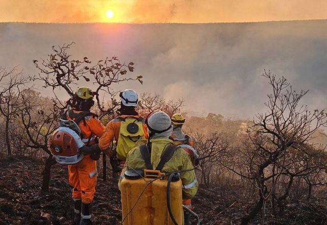 Bombeiros combatem incêndio em área de proteção ambiental em MG | Divulgação