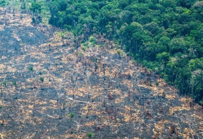 Brasil já perdeu 33% das áreas naturais de seu território, afirma MapBioma | Foto: Greenpeace