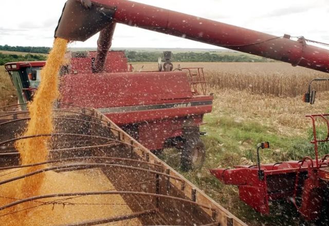 CNA avalia que medidas do governo podem ajudar a frear alta no preço alimentos | Agência Brasil