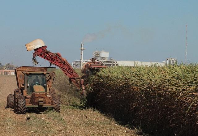 Escassez de chuva prejudica produção agrícola e pode aumentar preços Escassez de chuva prejudica produção agrícola e pode aumentar preços