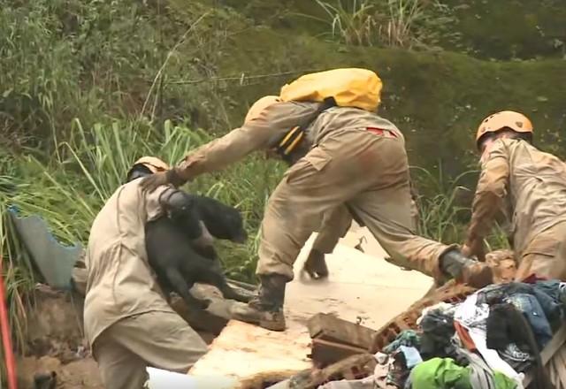 Cachorro sendo resgatado após dona também ser retirada dos escombros, em Petrópolis