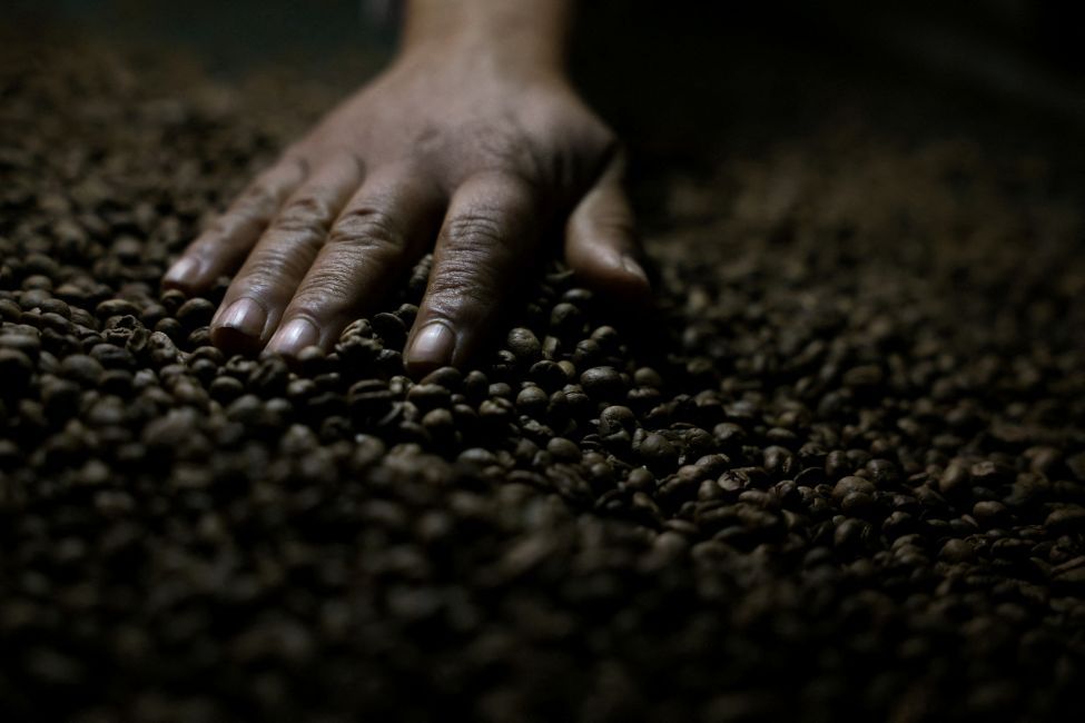 Café torrado em fazenda em Brasília | Reuters