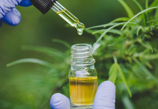 Biomédicos estão autorizados a receitar produtos com canabidiol Biomédicos estão autorizados a receitar produtos com canabidiol