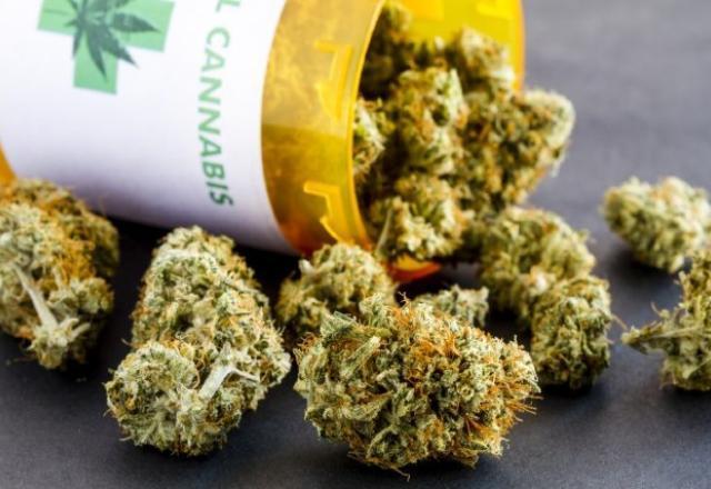 Cannabis