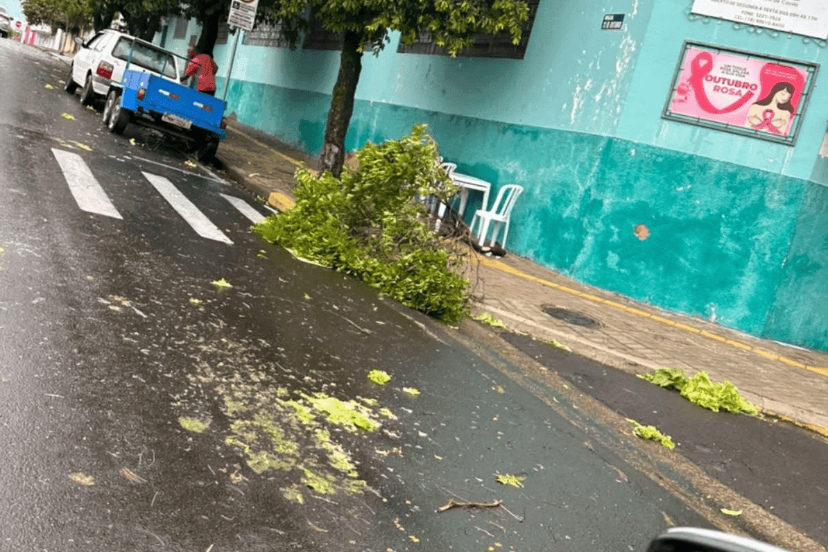 Vendaval afeta escola e altera votação no interior de SP Vendaval afeta escola e altera votação no interior de SP