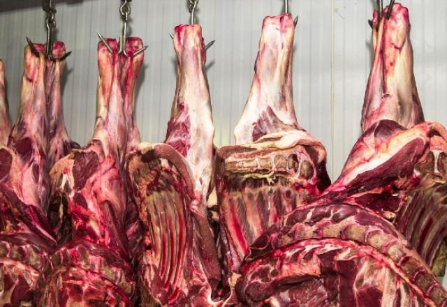 Carne em indústria frigorífica